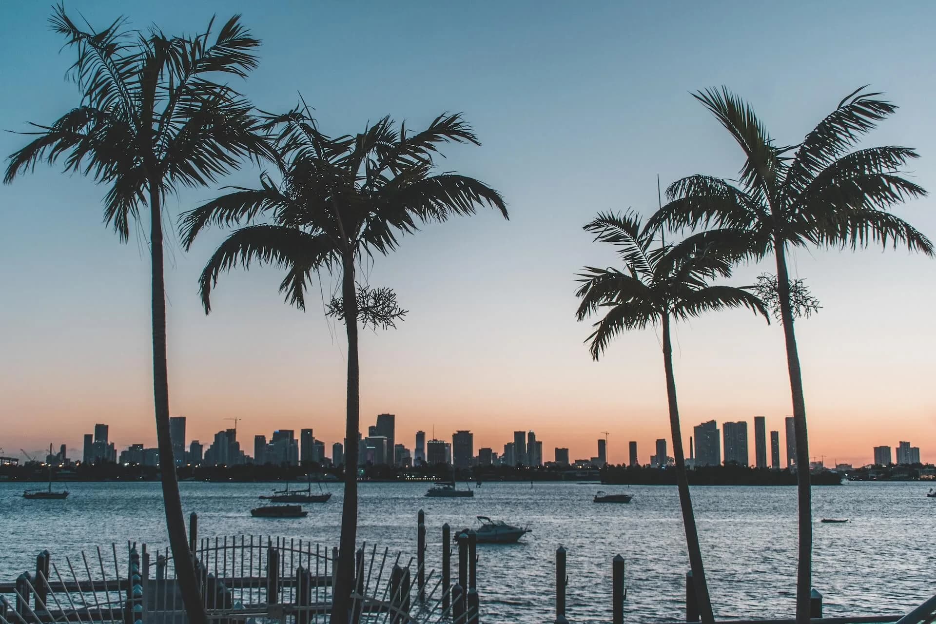 Palm trees framing the Miami skyline across the water at sunset