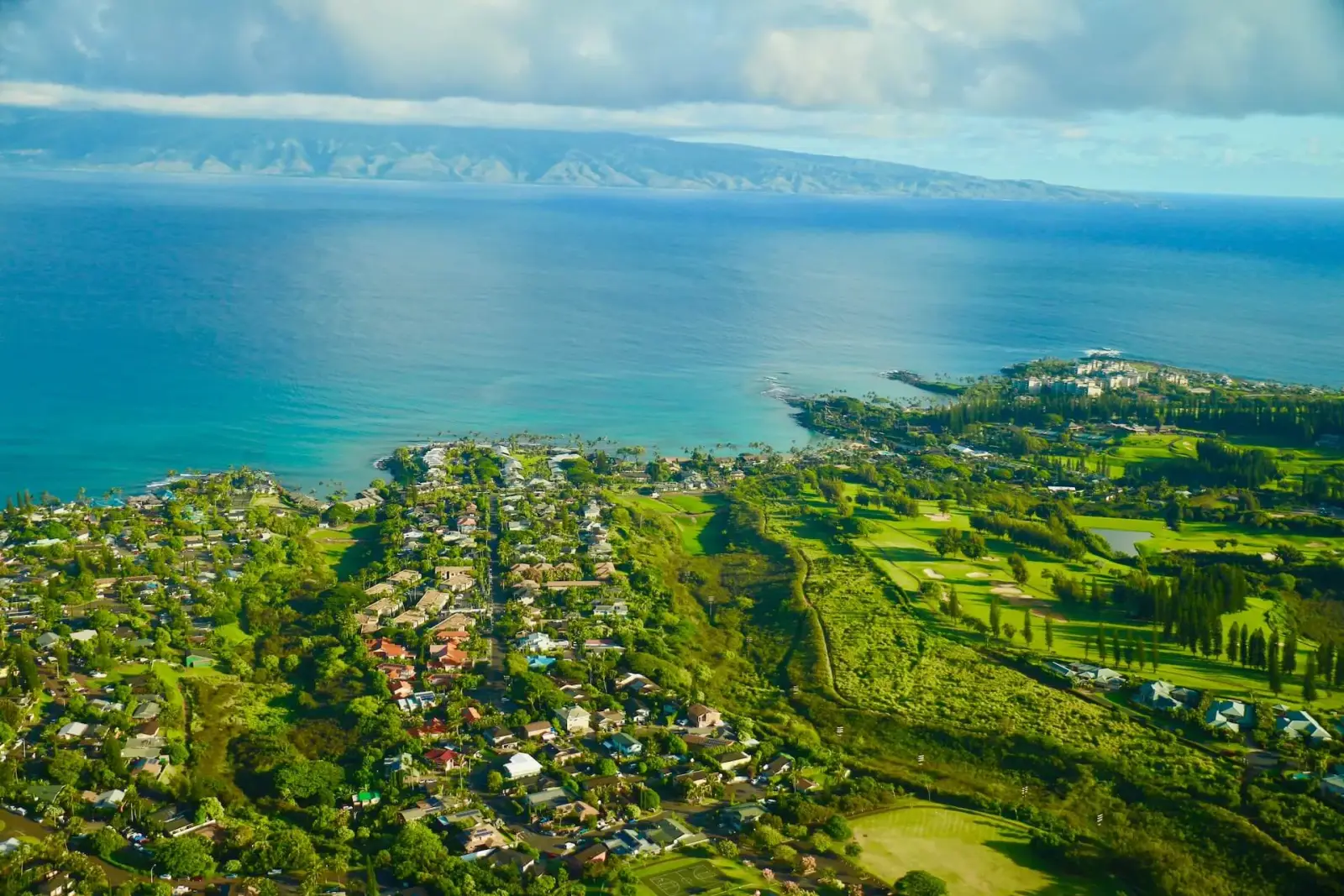 Golden sands and palm trees on a Maui beach