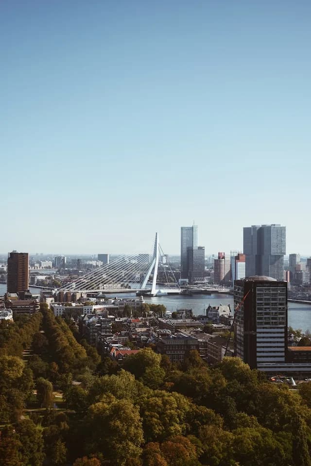 Modern skyline and Erasmus Bridge of Rotterdam